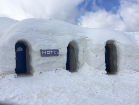 吉林挖机师傅偶遇老虎巡山