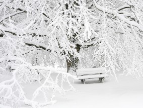 东北局地的雪要下到发紫