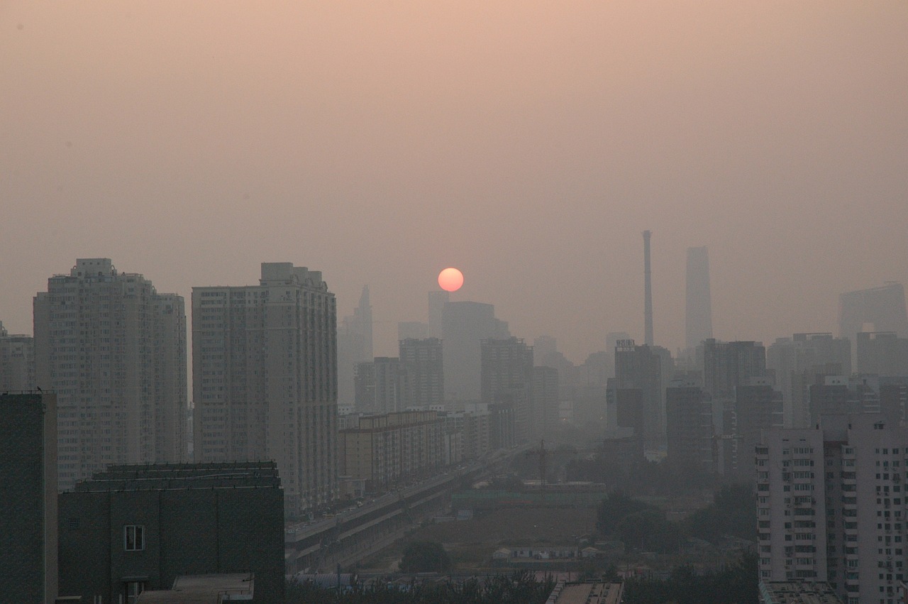 A股房地产全线大涨