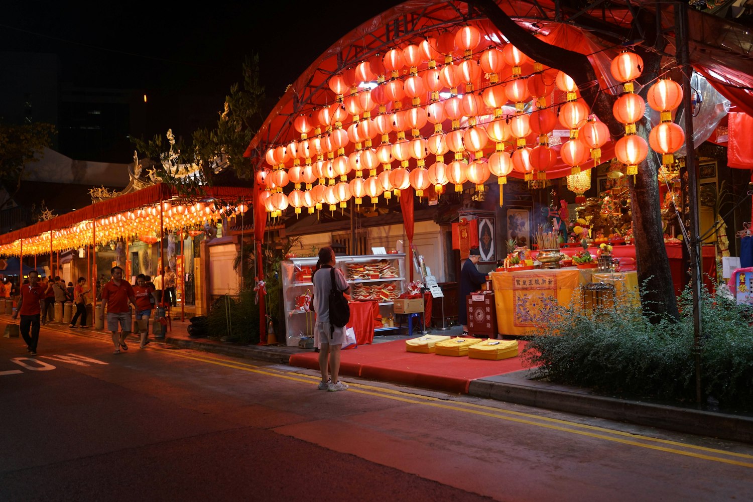 过年云南旅游全攻略，探寻彩云之南的年味与美景 过年云南旅游攻略