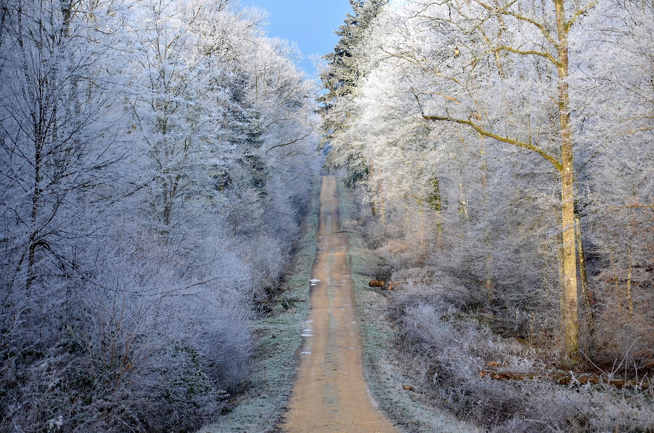 岳麓山旅游攻略地图，探秘千年学府的绝美风光 岳麓山旅游攻略地图-易彩堂app下载采购大厅