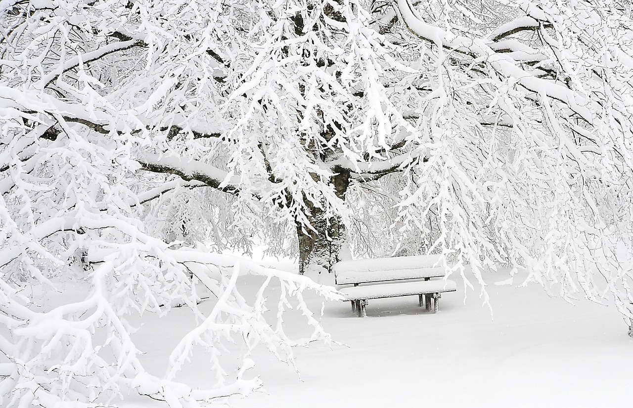 东北局地的雪要下到发紫