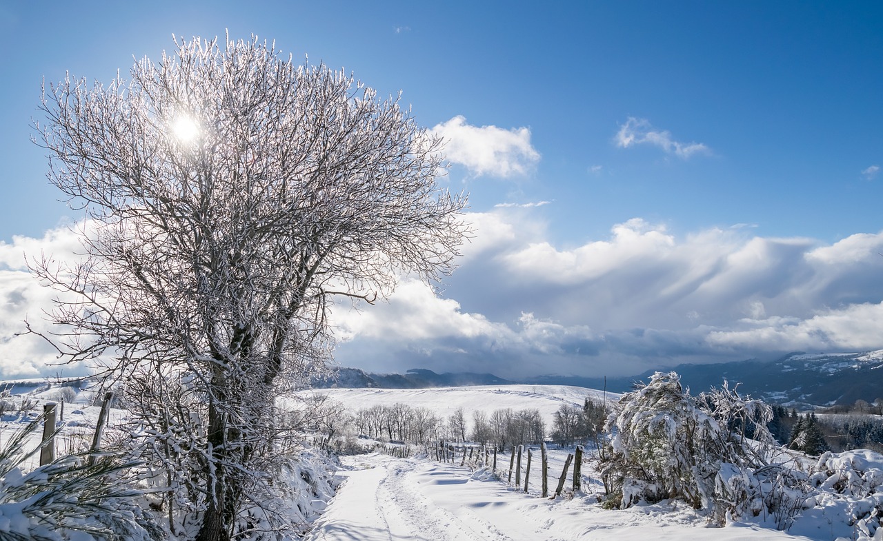 东北局地的雪要下到发紫